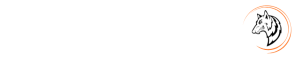 Global Livestreams